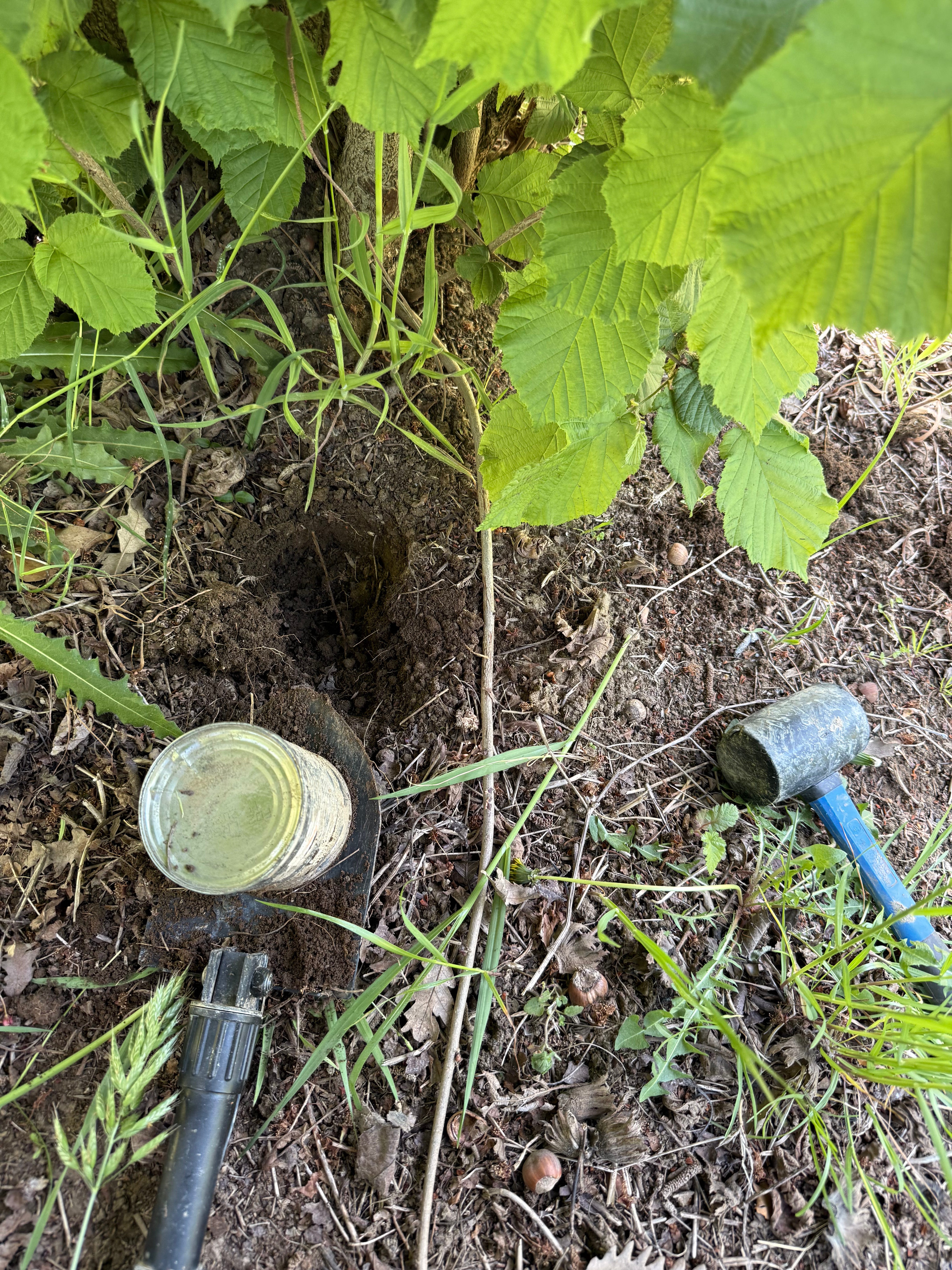 agricoltura rigenerativa