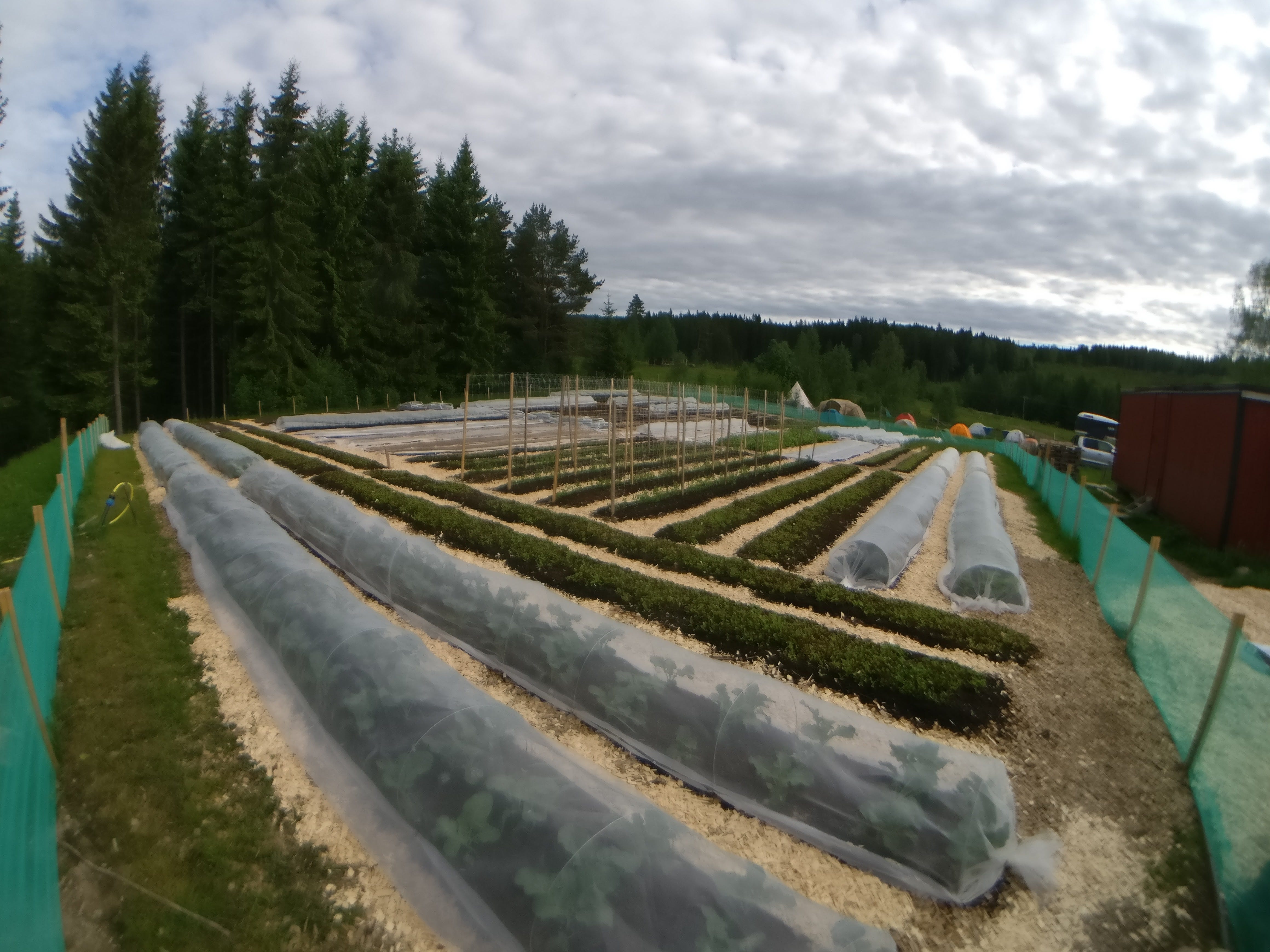 market garden